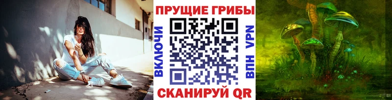 Псилоцибиновые грибы ЛСД  продажа наркотиков  Суровикино 